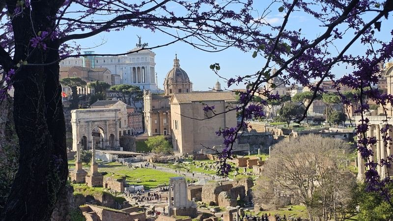 Private Tours